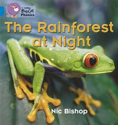 The Rainforest at Night