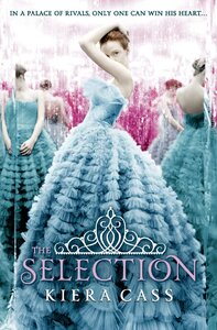 The Selection. Book 1