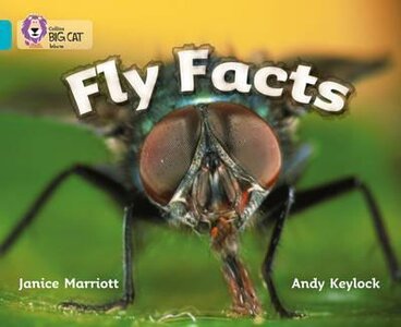 Робочий зошит «Fly Facts. Workbook