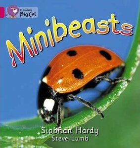 Робочий зошит «Minibeasts. Workbook