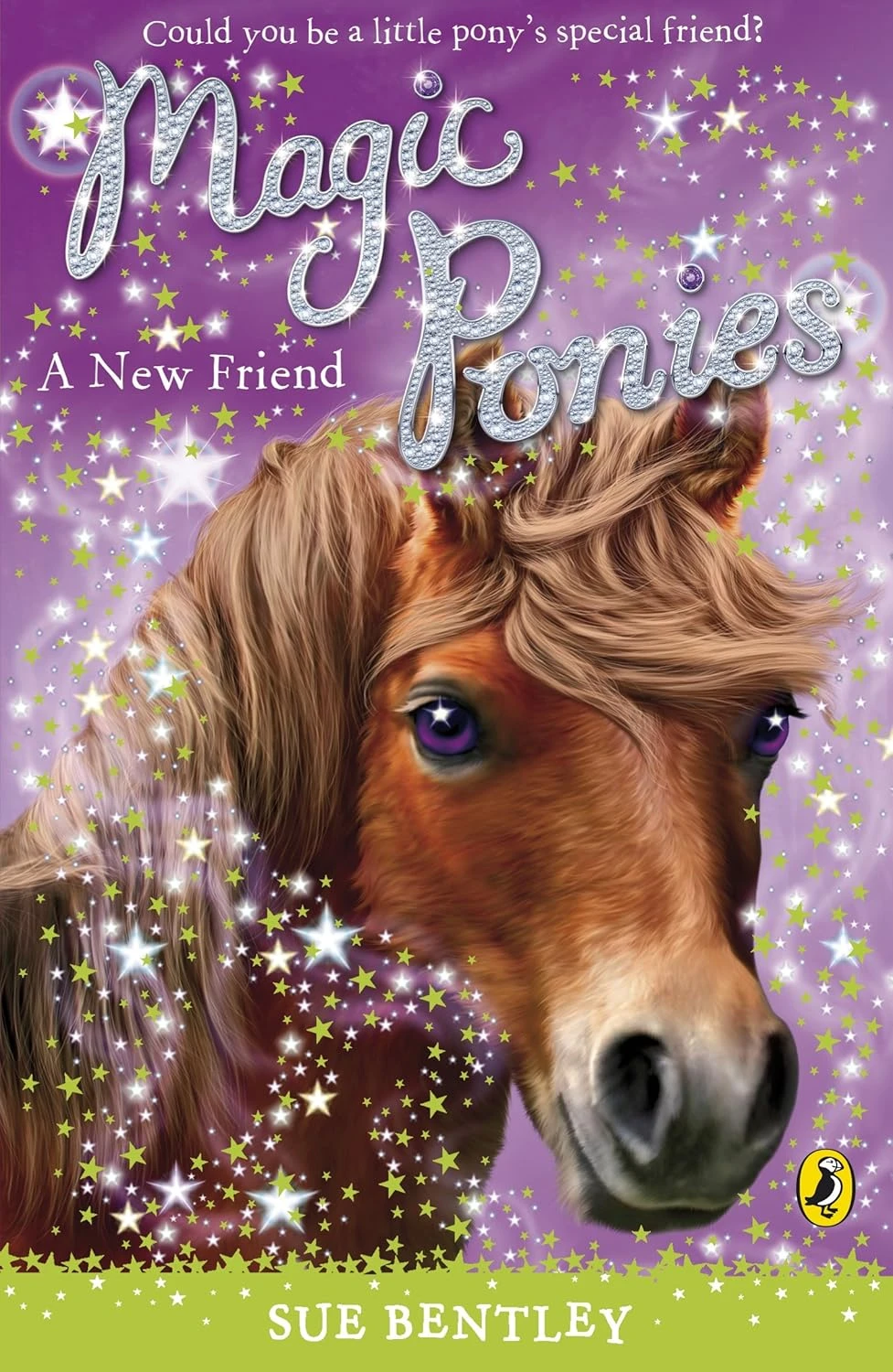 Magic Ponies. A New Friend