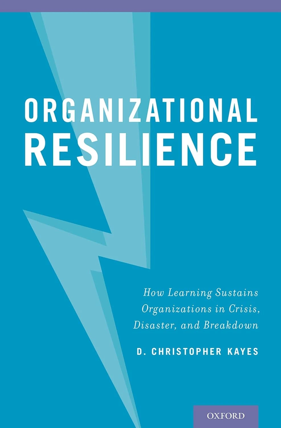 Organizational Resilience. How Learning Sustains Organizations in Crisis, Disaster, and Breakdown