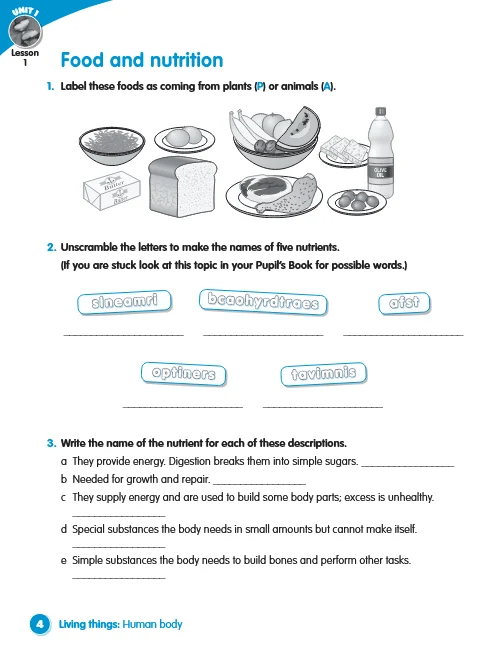 Macmillan Science. Level 5. Workbook