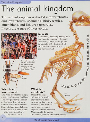 First Animal Encyclopedia. A First Reference Book for Children