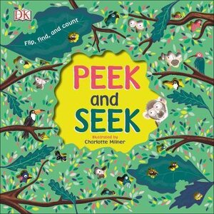 Peek and Seek