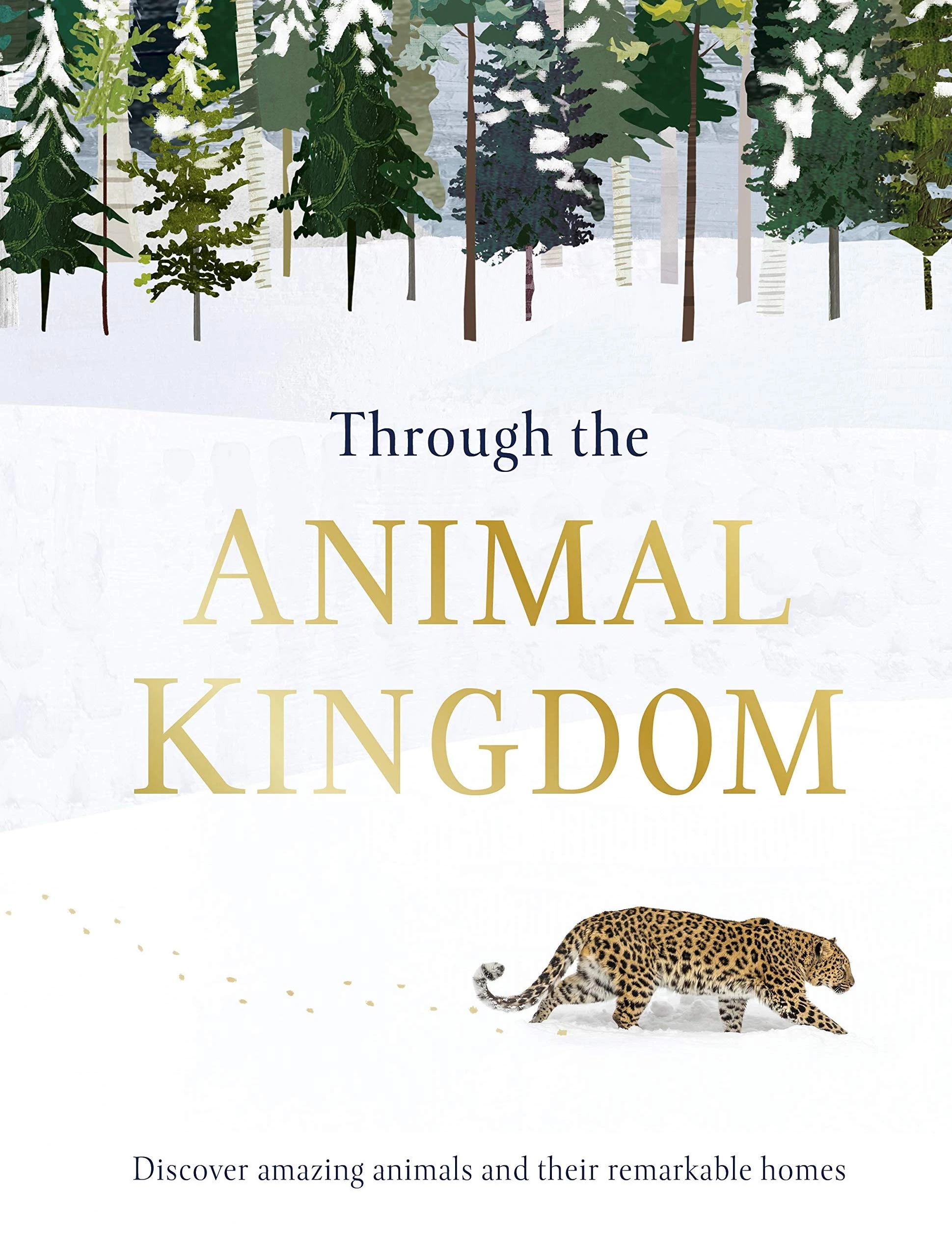 Through the Animal Kingdom