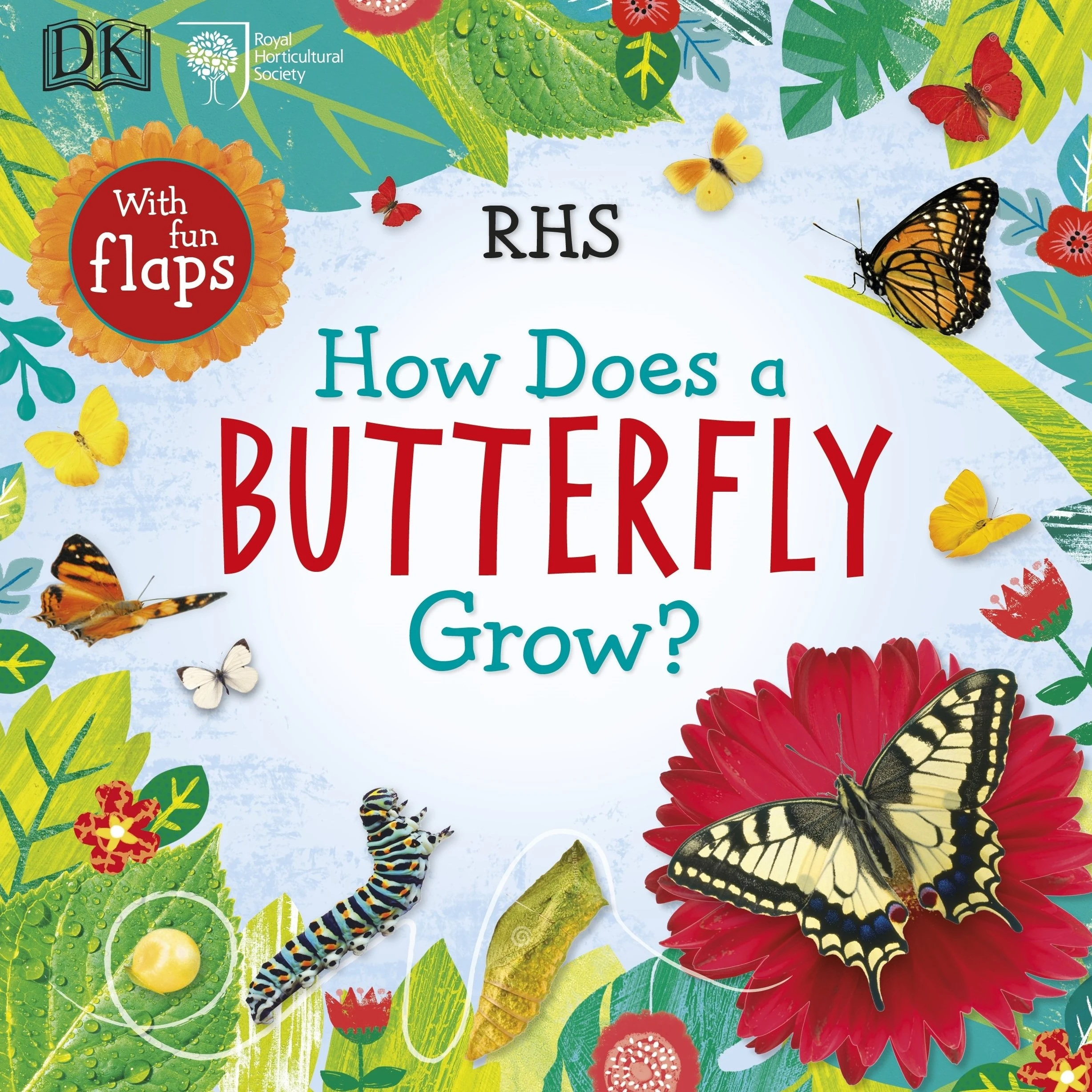 RHS How Does a Butterfly Grow?