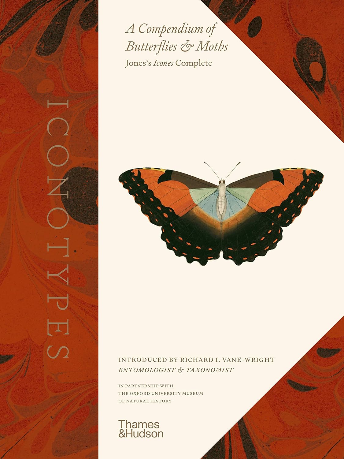 Iconotypes. A compendium of butterflies and moths. Jones’s Icones Complete