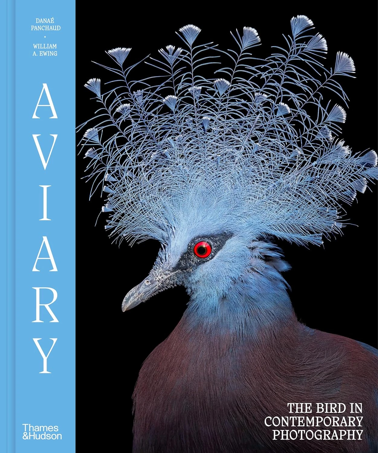 Aviary. The Bird in Contemporary Photography