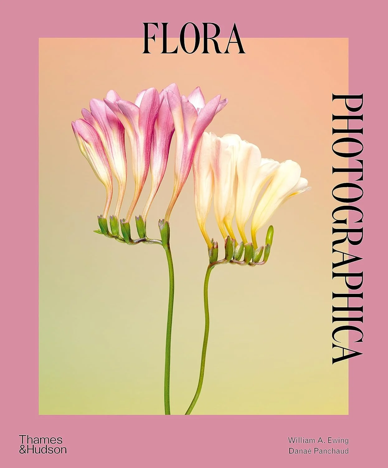 Flora Photographica. Данае Паншо; Вільям А. Юінг