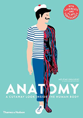 Anatomy: A Cutaway Look Inside the Human Body. Helene Druvert