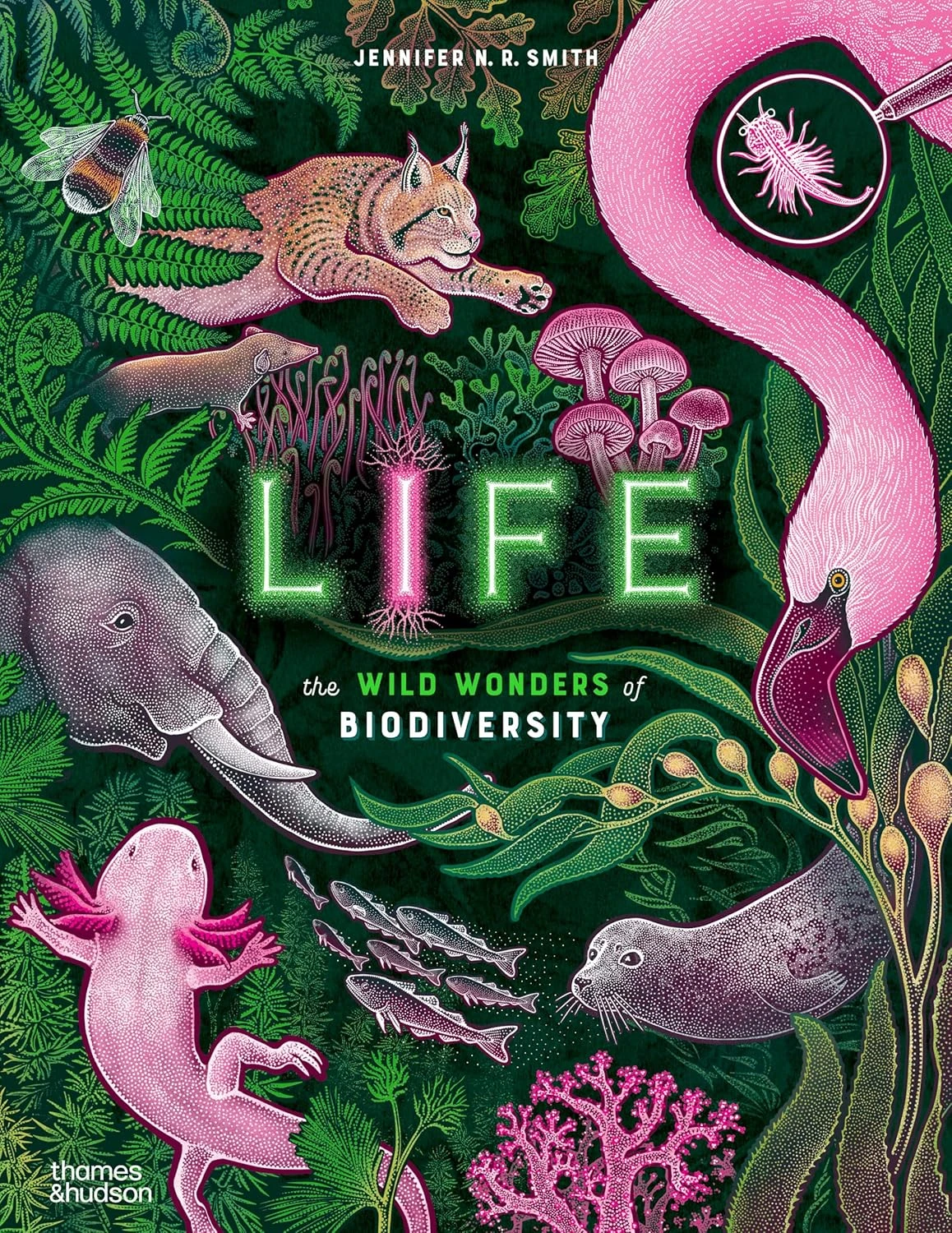 Life: The Wild Wonders of Biodiversity