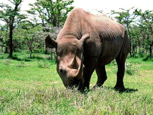 Посібник «Sam's Cafe ELT Edition