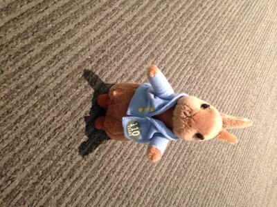 Peter Rabbit. Small Soft Toy
