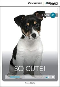 CDIR Level A1. So Cute! (Book with Online Access)