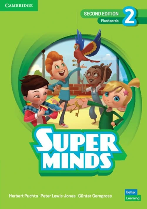 Super Minds Level 2 Flashcards