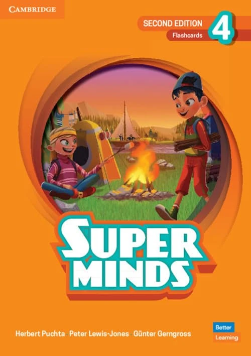 Super Minds Level 4 Flashcards