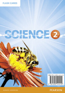 Посібник «Big Science Level 2 Picture Cards (картки)