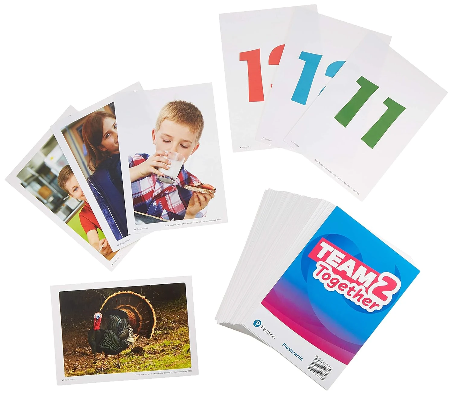 Team Together 2. Flashcards