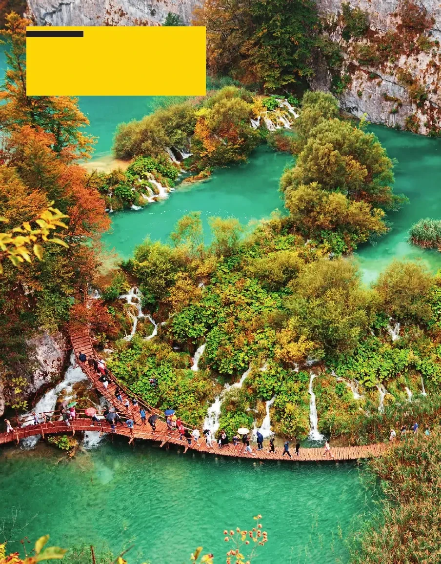 Look 6. Teachers Book+Audio+DVD