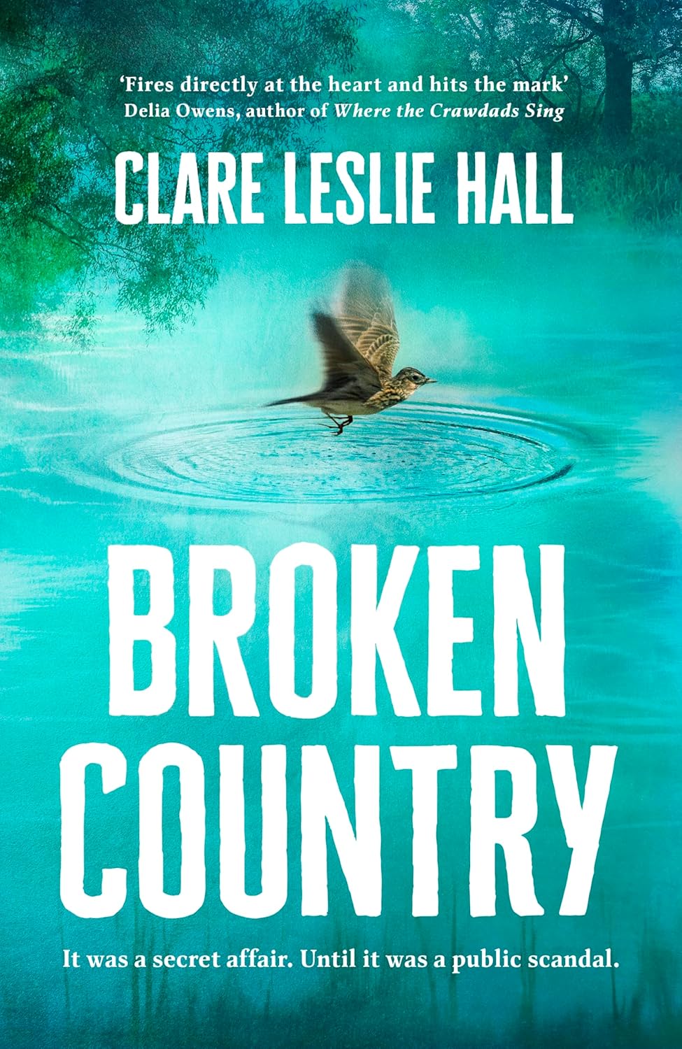 Broken Country. Clare Leslie Hall
