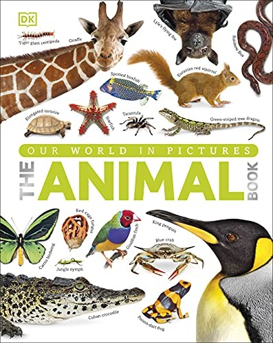 The Animal Book : A Visual Encyclopedia of Life on Earth