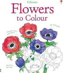 Flowers to Colour