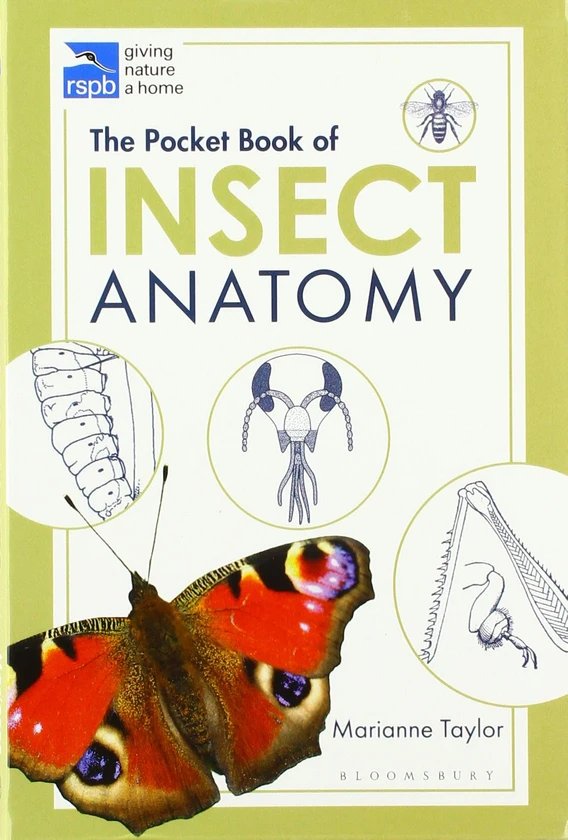 The Pocket Book of Insect Anatomy