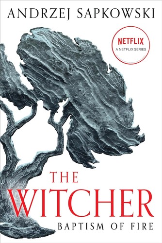 The Witcher. Sword of Destiny. Book 2