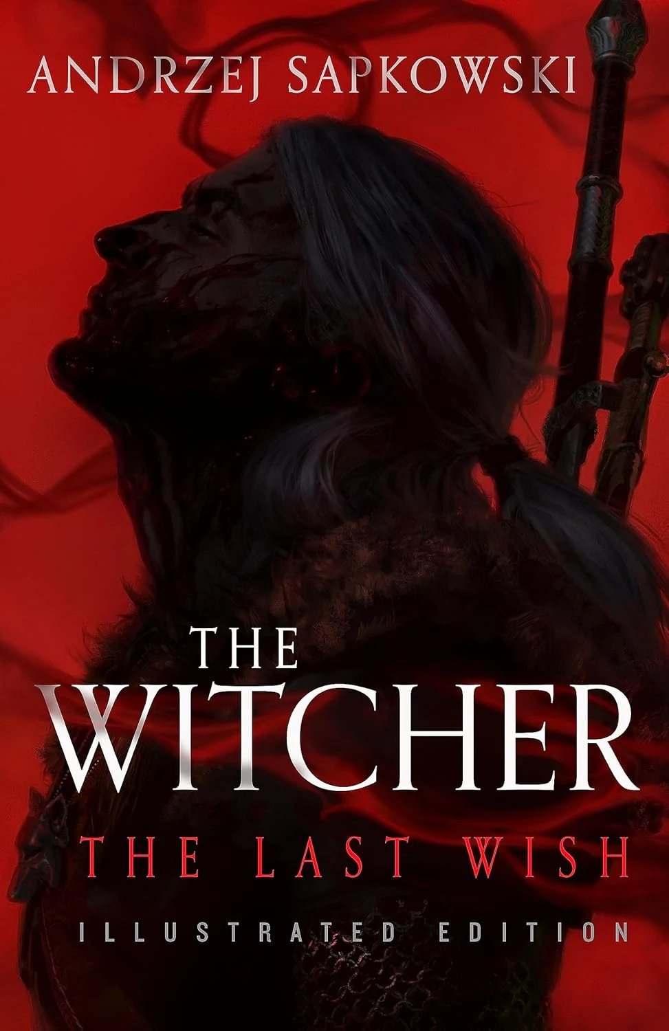 The Witcher: The Last Wish