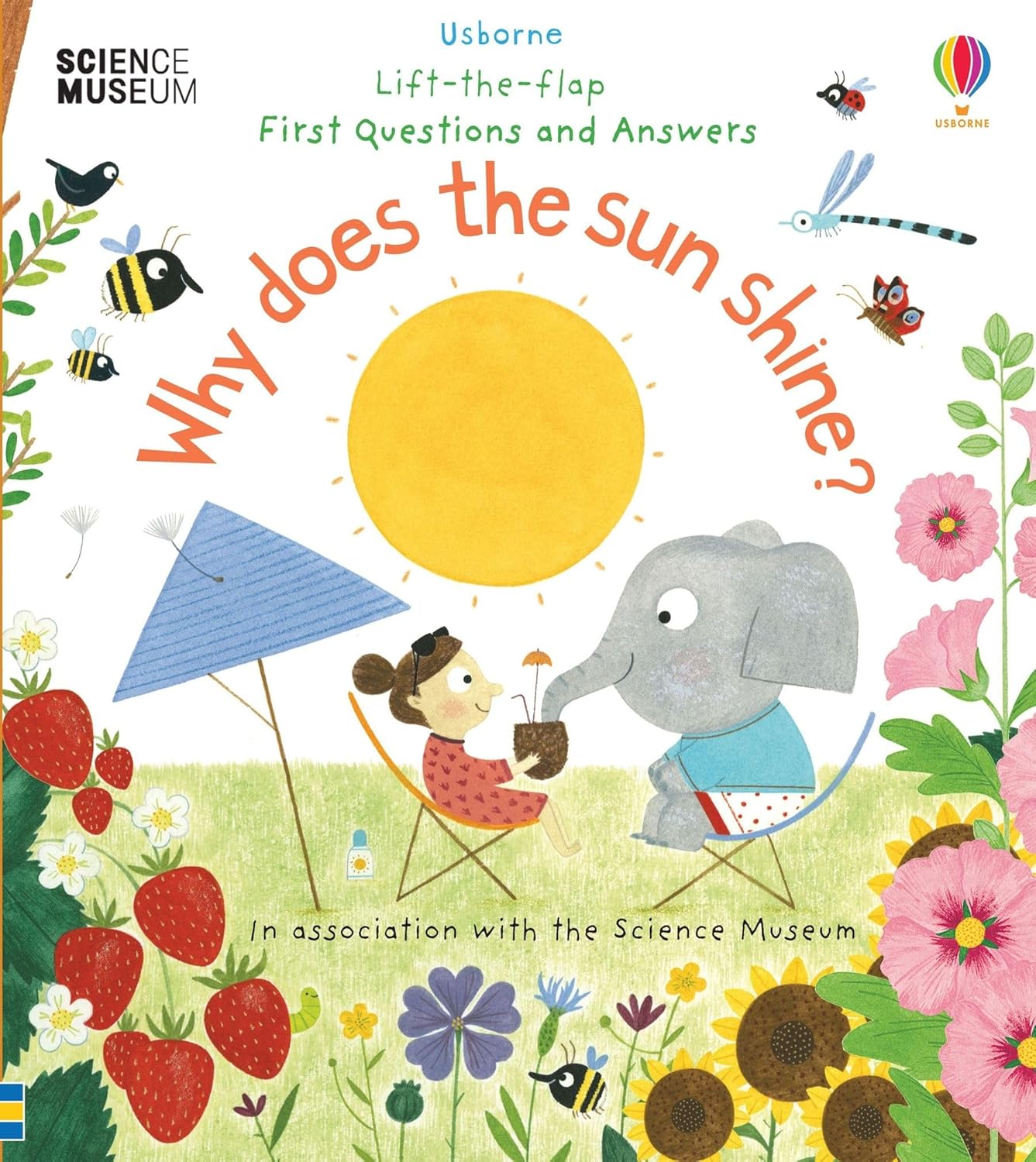 Lift-the-Flap First Questions & Answers: Why Does the Sun Shine?. Katie Daynes