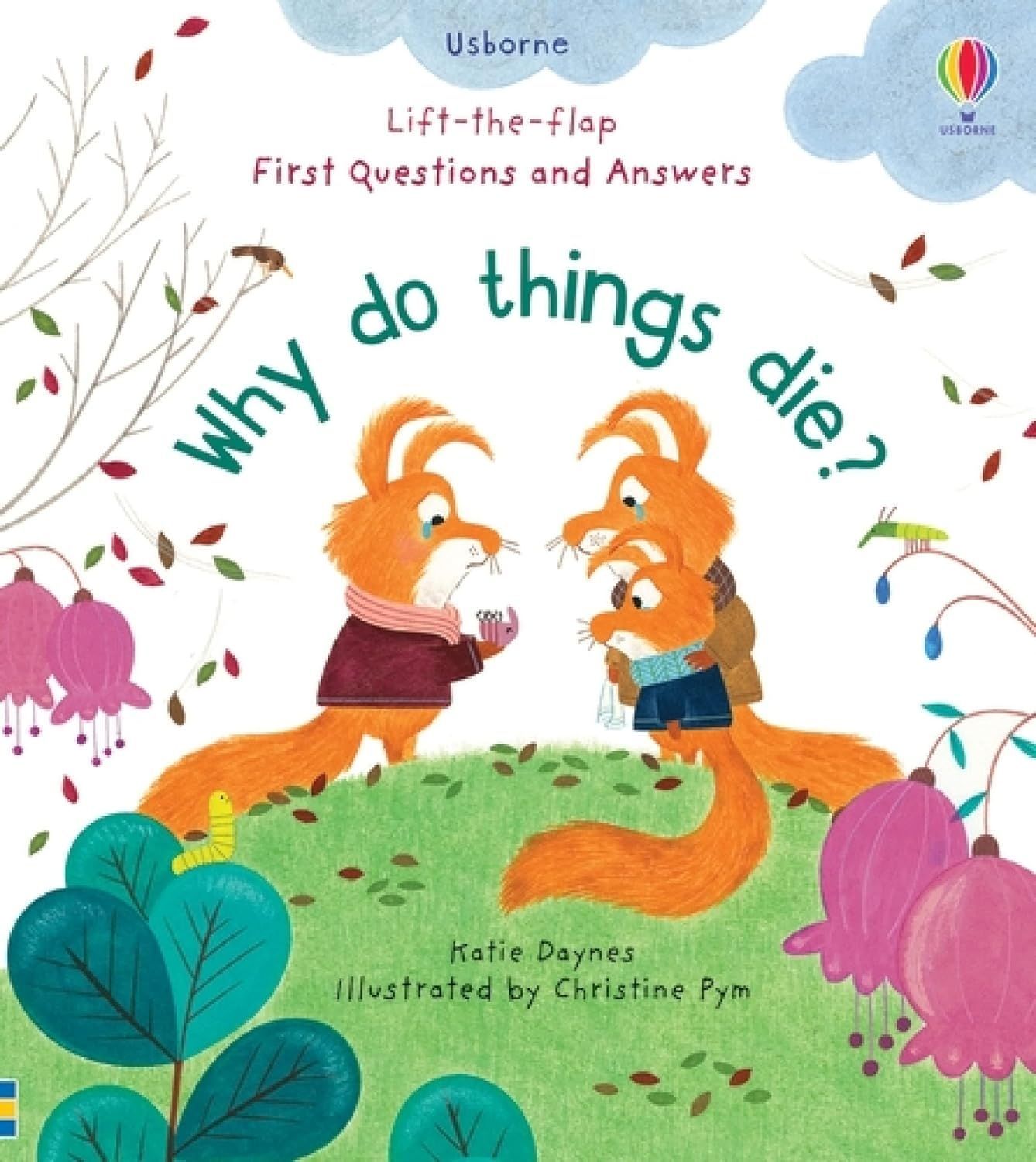 Lift-the-Flap First Questions and Answers: Why Do Things Die?. Katie Daynes