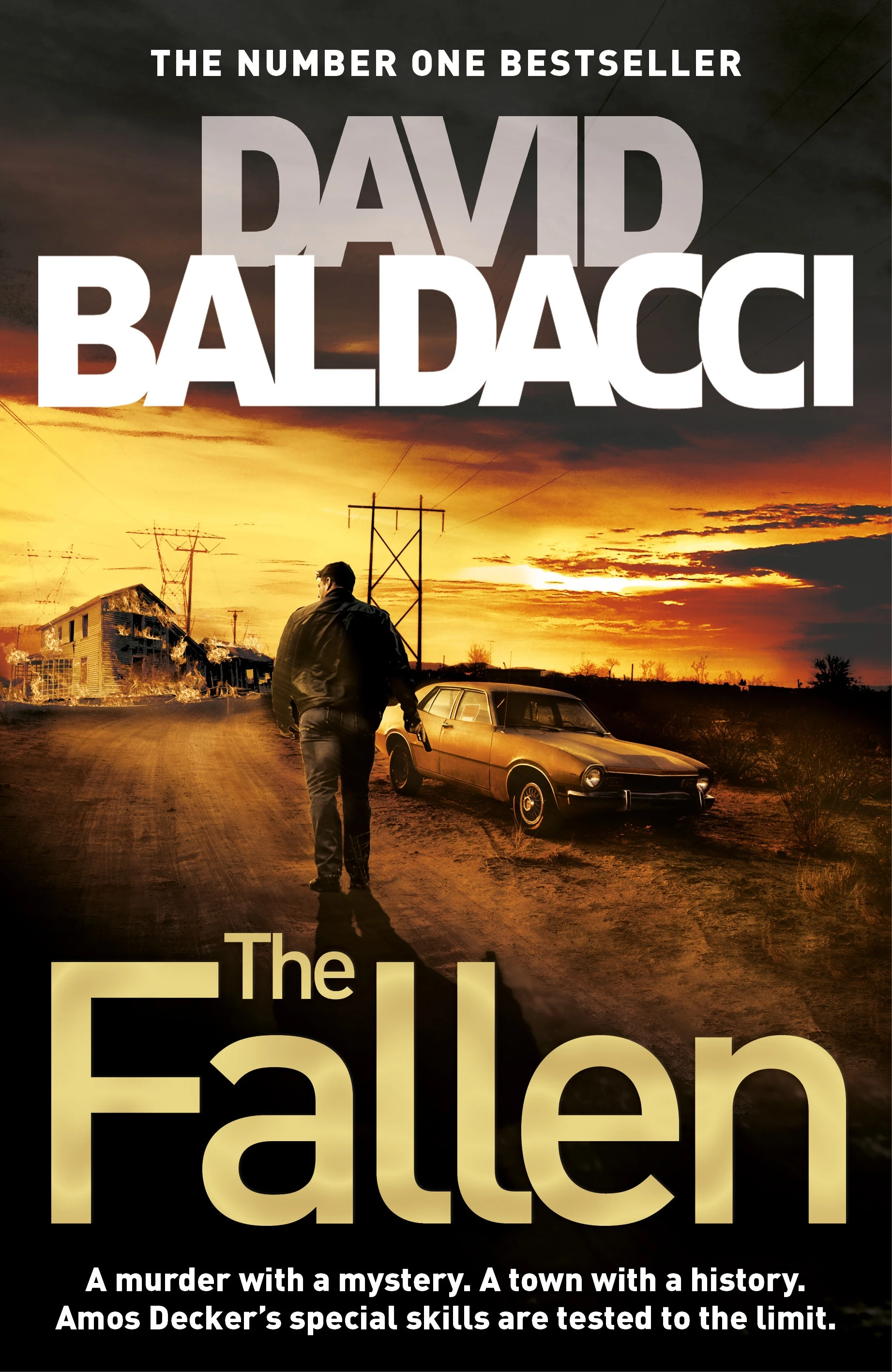 Amos Decker. The Fallen. Book 4