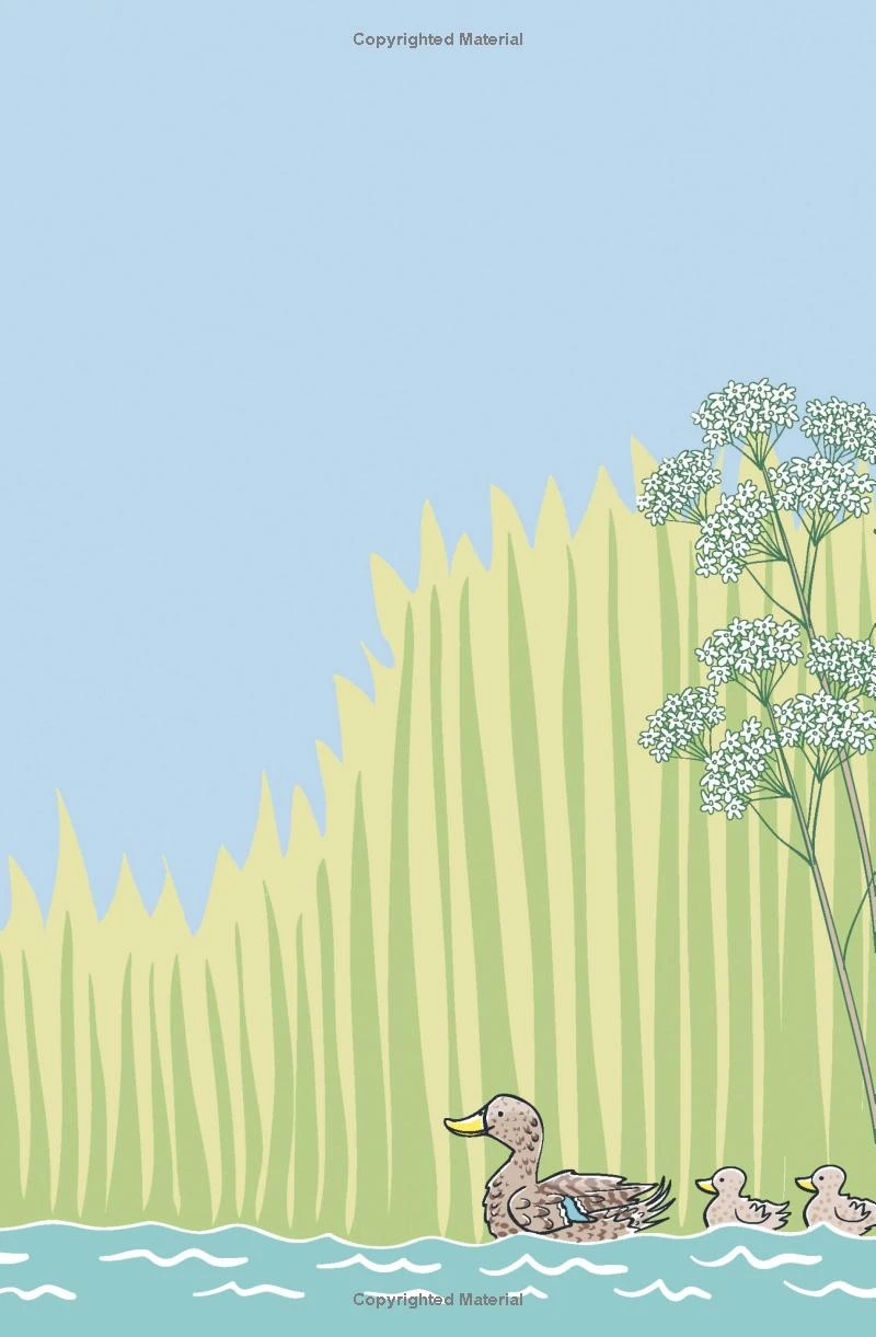 The Loch Ness Monster Spotters. Early Reader