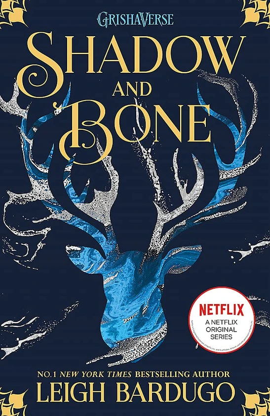 Shadow and Bone. Now a Netflix Original Series