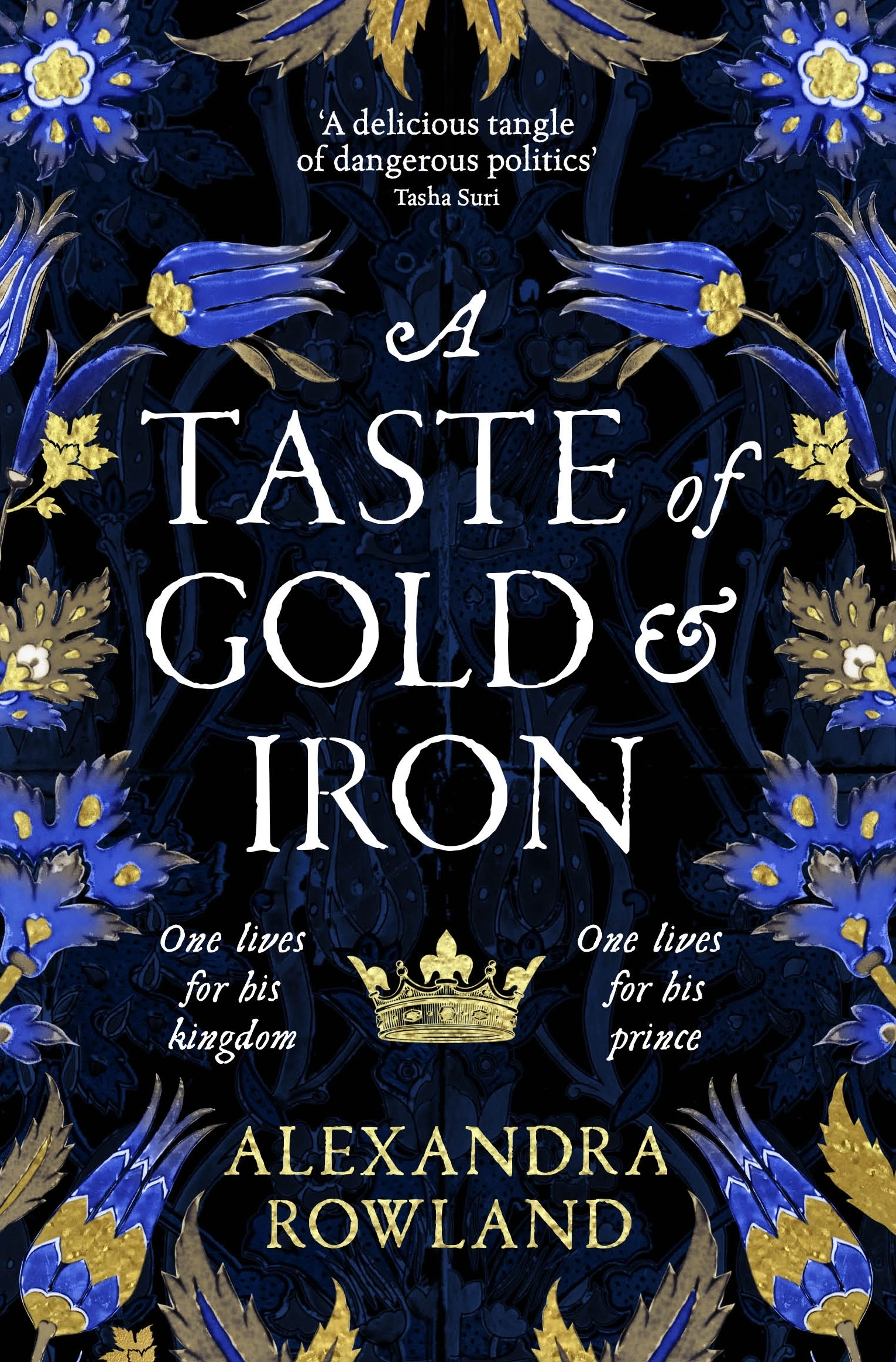 A Taste of Gold and Iron: A Breathtaking Enemies-to-Lovers Romantic Fantasy