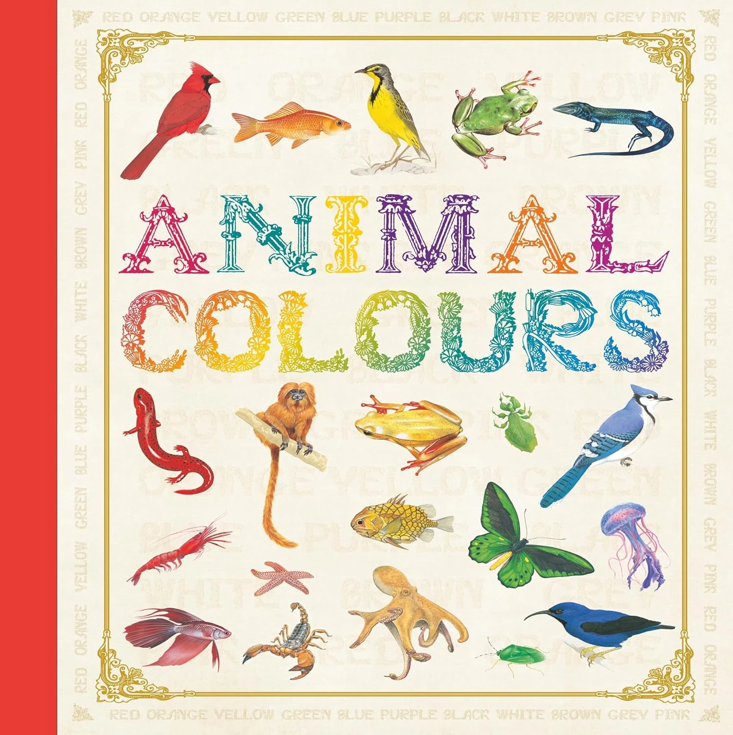 First Concept. Animal Colours
