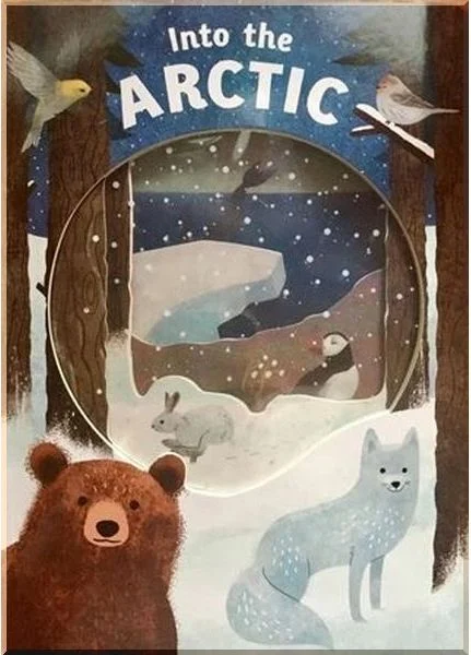 Into the Arctic : Look Closer