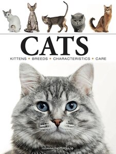 Cats (Mini Encyclopedias)