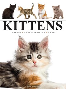 Kittens (Mini Encyclopedias)