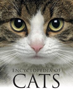 Amber Books Encyclopedia of Cats (Encyclopedias)