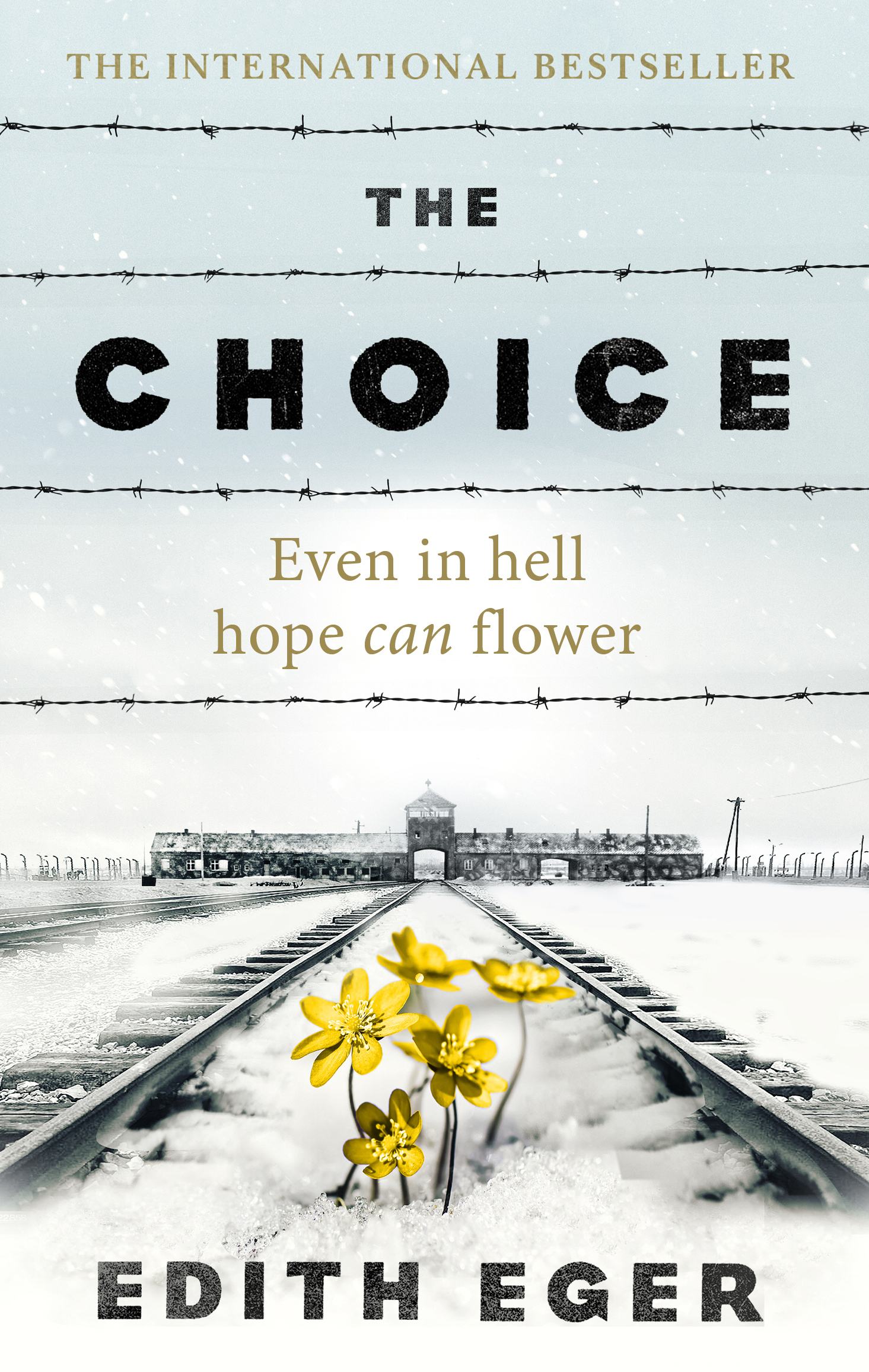 The Choice. A true story of hope