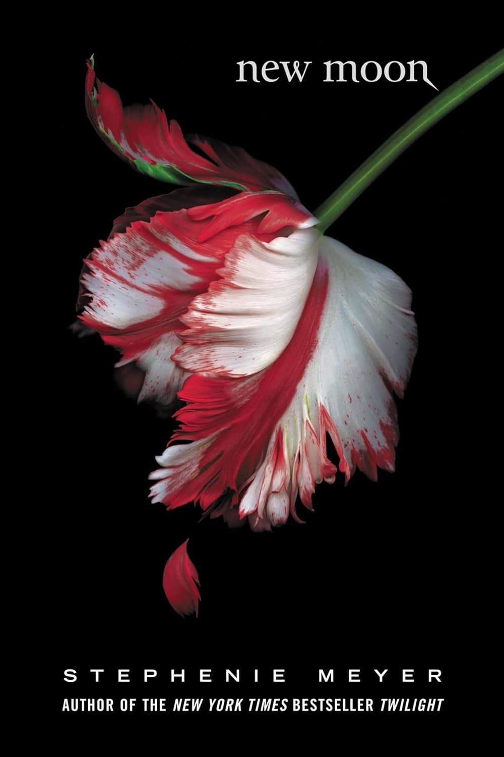 New Moon. Book 2 (Twilight Saga)