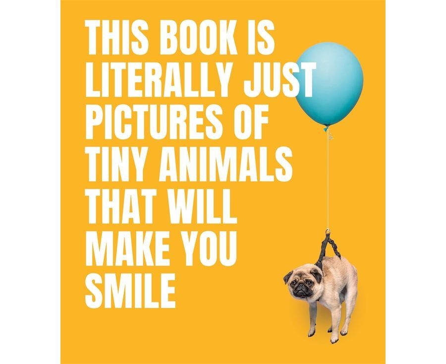 This Book Is Literally Just Pictures of Tiny Animals That Will Make You Smile