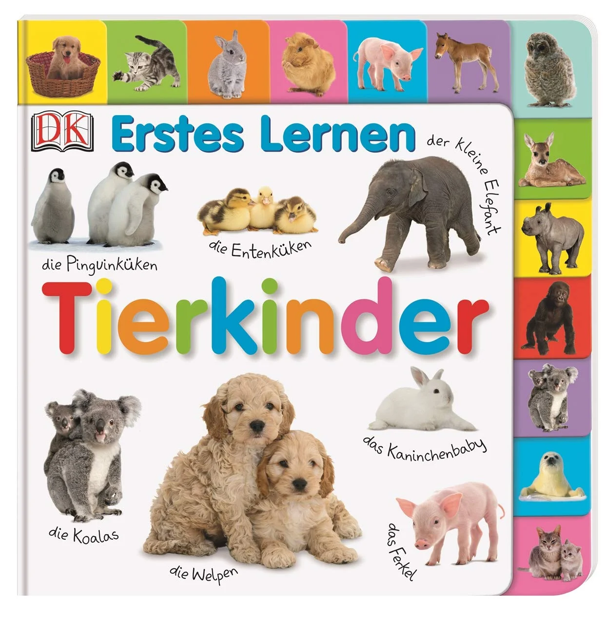 Erstes Lernen. Tierkinder
