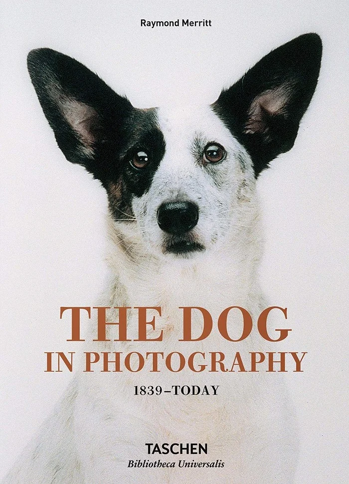 The Dog in Photography. 1839-Today