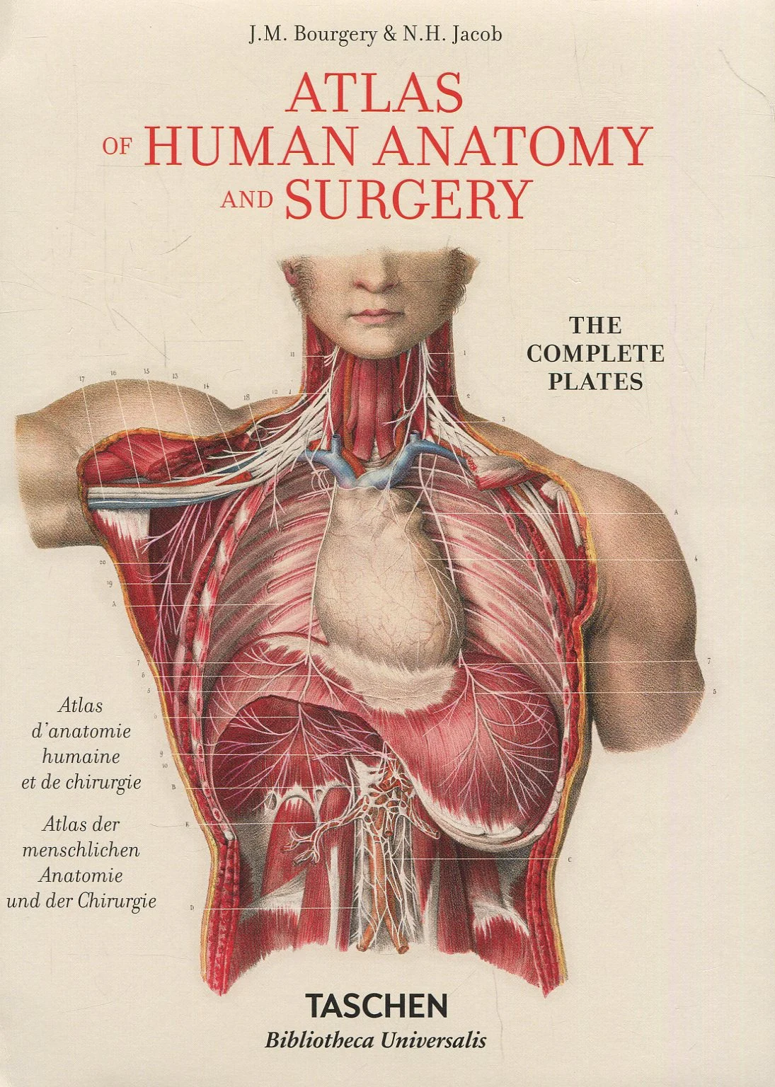 Atlas of Human Anatomy and Surgery