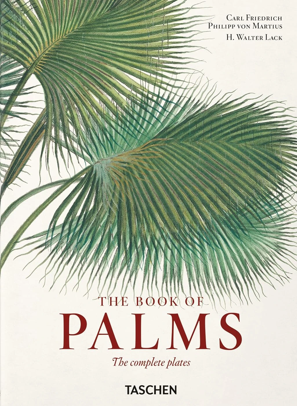 The Book of Palms