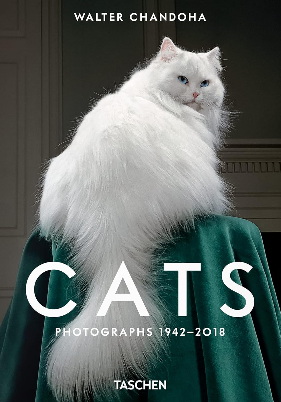 Walter Chandoha. Cats. Photographs 1942-2018