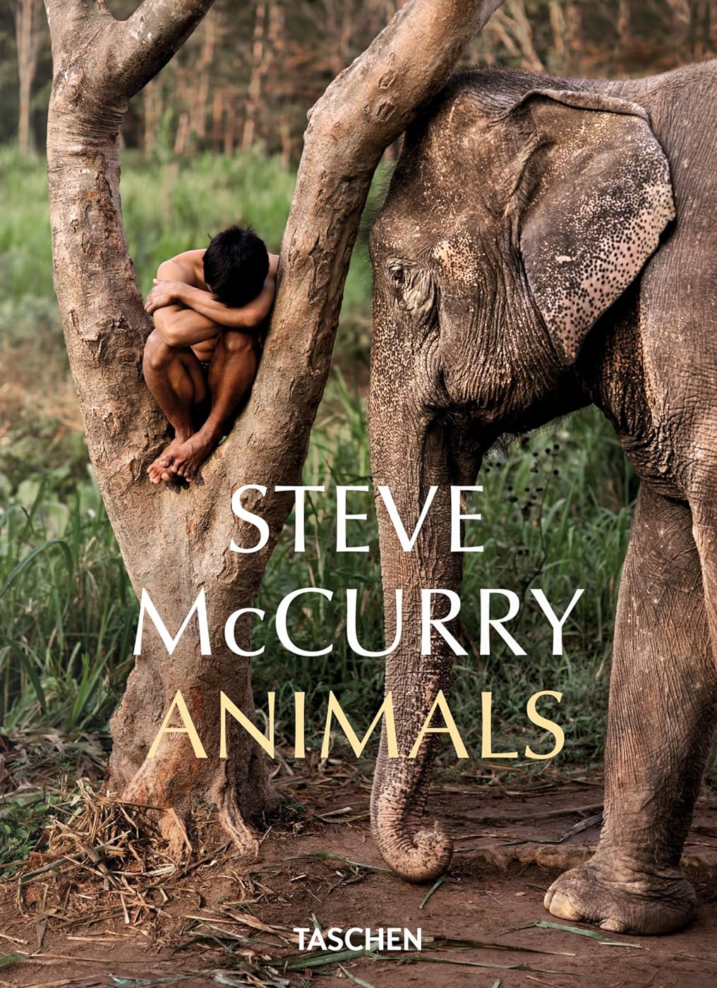Steve McCurry. Animals. Стів МакКарі